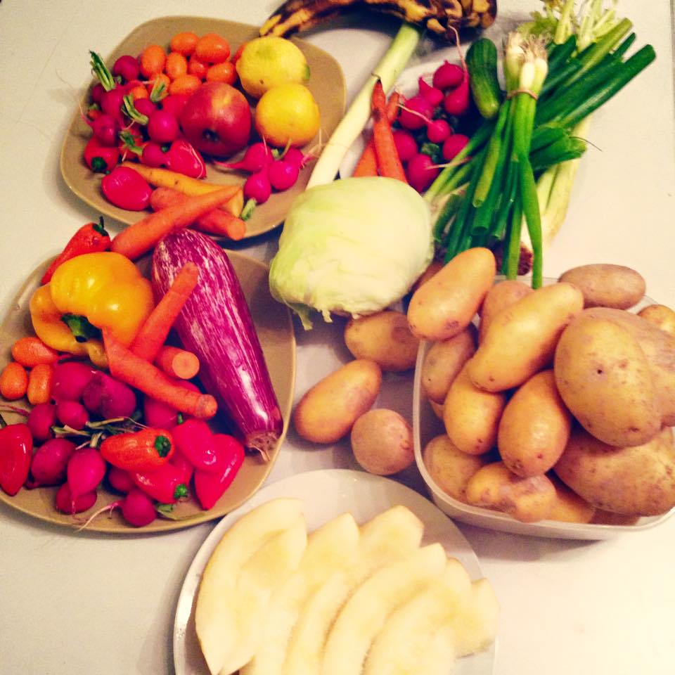 11111970_1587272998208456_1139759255858066550_n