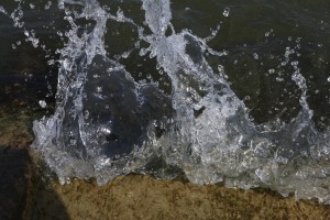 Foto 09.04.17, 14 17 26